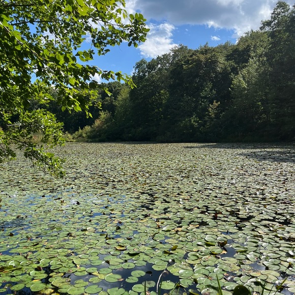 Meet your Posher, Carly - Picture 3 of 4